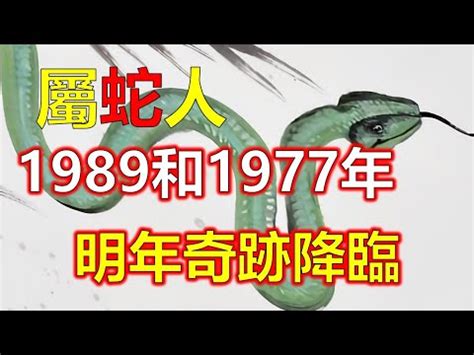 1989五行|1989年生肖蛇的是什么命 89年的属蛇人一生命运分析